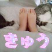 ヒメ日記 2025/07/17 17:27 投稿 きゅう ハピネス水戸