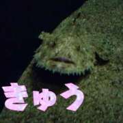 ヒメ日記 2025/07/28 18:29 投稿 きゅう ハピネス水戸