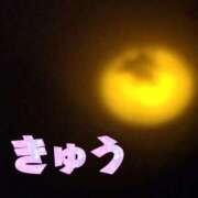 ヒメ日記 2025/07/31 15:25 投稿 きゅう ハピネス水戸