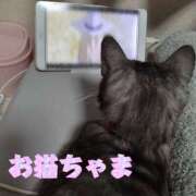 ヒメ日記 2025/09/25 19:18 投稿 きゅう ハピネス水戸