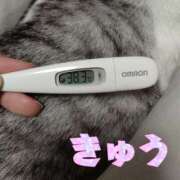 ヒメ日記 2025/11/03 10:25 投稿 きゅう ハピネス水戸