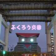 ヒメ日記 2025/12/14 19:31 投稿 きゅう ハピネス水戸