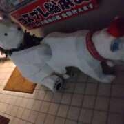 ヒメ日記 2025/12/27 17:04 投稿 きゅう ハピネス水戸