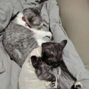 ヒメ日記 2026/02/22 18:45 投稿 きゅう ハピネス水戸