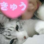 ヒメ日記 2026/02/27 17:06 投稿 きゅう ハピネス水戸