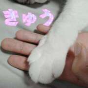 ヒメ日記 2026/04/14 16:48 投稿 きゅう ハピネス水戸