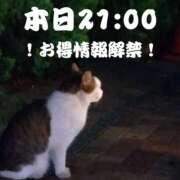 ヒメ日記 2026/06/02 20:55 投稿 きゅう ハピネス水戸