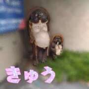ヒメ日記 2026/06/06 16:50 投稿 きゅう ハピネス水戸