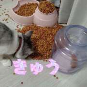 ヒメ日記 2026/06/30 20:02 投稿 きゅう ハピネス水戸