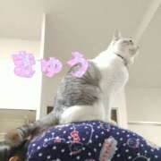 ヒメ日記 2026/07/04 19:50 投稿 きゅう ハピネス水戸