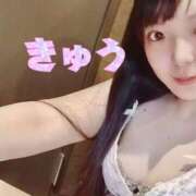 ヒメ日記 2026/09/01 16:29 投稿 きゅう ハピネス水戸