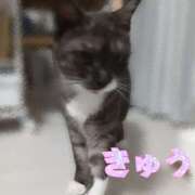ヒメ日記 2026/10/22 20:26 投稿 きゅう ハピネス水戸