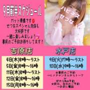 ヒメ日記 2025/09/04 13:21 投稿 せつな ハピネス水戸