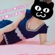 ヒメ日記 2026/03/05 02:34 投稿 せつな ハピネス水戸