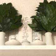 ヒメ日記 2025/07/02 09:16 投稿 いとは ハピネス水戸