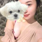 ヒメ日記 2025/07/03 16:25 投稿 いとは ハピネス水戸