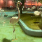 ヒメ日記 2025/07/07 09:03 投稿 いとは ハピネス水戸