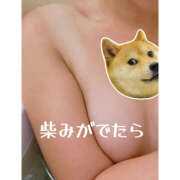 ヒメ日記 2025/07/27 23:42 投稿 いとは ハピネス水戸