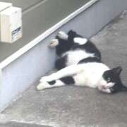 ヒメ日記 2025/08/19 21:53 投稿 いとは ハピネス水戸