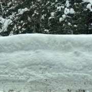 ヒメ日記 2026/02/05 10:45 投稿 いとは ハピネス水戸