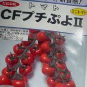ヒメ日記 2026/03/19 09:10 投稿 いとは ハピネス水戸