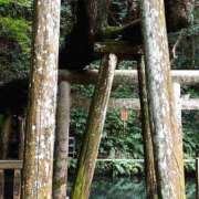 ヒメ日記 2026/04/15 16:06 投稿 いとは ハピネス水戸