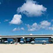 ヒメ日記 2025/10/24 13:36 投稿 あんじゅ ハピネス水戸