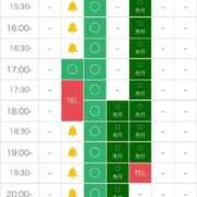 ヒメ日記 2025/12/13 14:05 投稿 なぎ 天空のマット