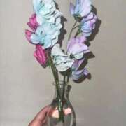 ヒメ日記 2026/02/10 18:01 投稿 なぎ 天空のマット