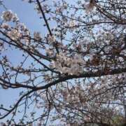 ヒメ日記 2026/03/28 16:21 投稿 なぎ 天空のマット