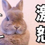 ヒメ日記 2025/07/02 08:30 投稿 きさらぎ ハピネス水戸