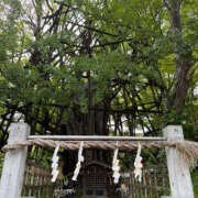 ヒメ日記 2025/07/18 00:47 投稿 きさらぎ ハピネス水戸