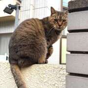 ヒメ日記 2025/11/07 17:39 投稿 あきね ハピネス水戸