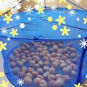 ヒメ日記 2025/08/03 15:02 投稿 れいか 熟女デリヘル倶楽部