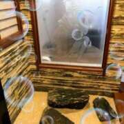 ヒメ日記 2025/09/06 18:21 投稿 れいか 熟女デリヘル倶楽部