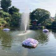 ヒメ日記 2025/07/03 11:55 投稿 せれな ハピネス水戸