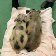 ヒメ日記 2025/08/08 18:21 投稿 せれな ハピネス水戸