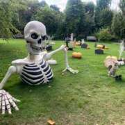 ヒメ日記 2025/10/08 17:42 投稿 せれな ハピネス水戸