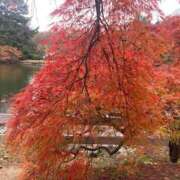 ヒメ日記 2025/11/24 21:45 投稿 せれな ハピネス水戸