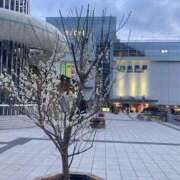 ヒメ日記 2026/02/21 07:05 投稿 せれな ハピネス水戸