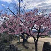 ヒメ日記 2026/03/18 23:30 投稿 せれな ハピネス水戸