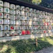 ヒメ日記 2025/07/16 14:24 投稿 こはる 所沢東村山ちゃんこ