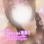 ヒメ日記 2025/09/24 14:01 投稿 こはる 所沢東村山ちゃんこ