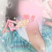 ヒメ日記 2025/10/29 19:01 投稿 こはる 所沢東村山ちゃんこ