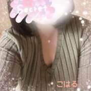 ヒメ日記 2025/11/03 12:17 投稿 こはる 所沢東村山ちゃんこ