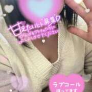 ヒメ日記 2025/11/06 17:24 投稿 こはる 所沢東村山ちゃんこ