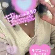 ヒメ日記 2025/11/13 18:02 投稿 こはる 所沢東村山ちゃんこ