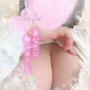 ヒメ日記 2025/12/18 17:01 投稿 こはる 所沢東村山ちゃんこ