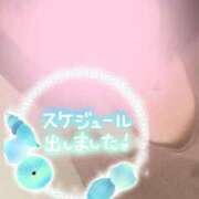 ヒメ日記 2025/07/13 17:06 投稿 こはる 西東京市小平ちゃんこ