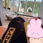 ヒメ日記 2025/07/23 18:50 投稿 こはる 西東京市小平ちゃんこ